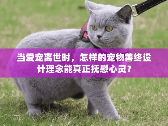 当爱宠离世时，怎样的宠物善终设计理念能真正抚慰心灵？