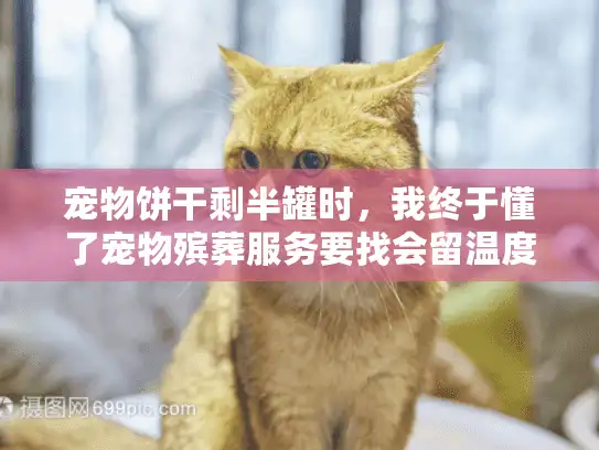 宠物饼干剩半罐时，我终于懂了宠物殡葬服务要找会留温度的