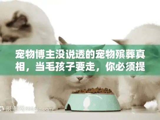 宠物博主没说透的宠物殡葬真相，当毛孩子要走，你必须提前搞懂这5个坑