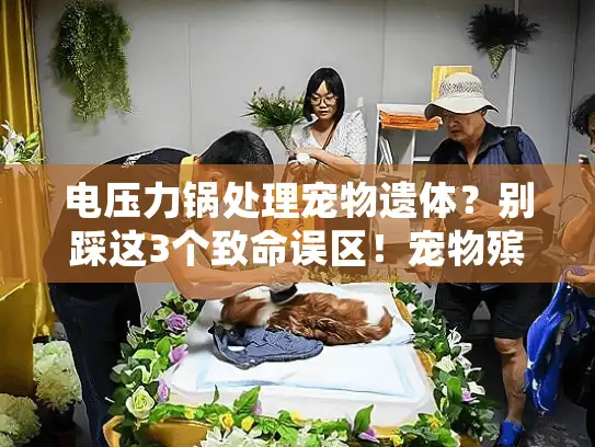 电压力锅处理宠物遗体？别踩这3个致命误区！宠物殡葬服务才是正确选择