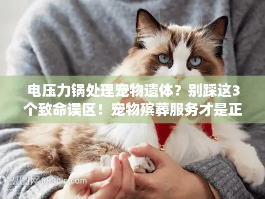 电压力锅处理宠物遗体？别踩这3个致命误区！宠物殡葬服务才是正确选择