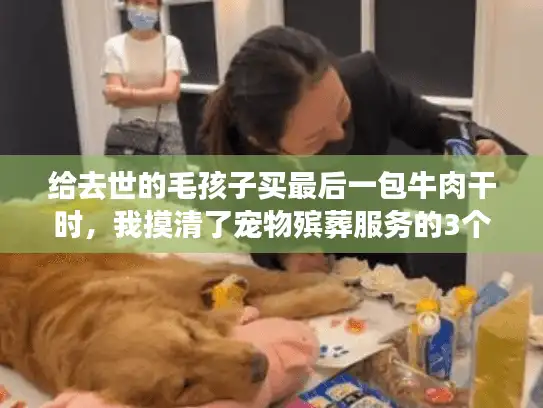 给去世的毛孩子买最后一包牛肉干时，我摸清了宠物殡葬服务的3个隐藏门槛