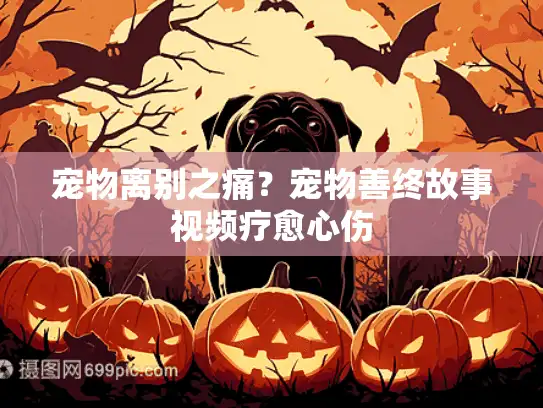 宠物离别之痛？宠物善终故事视频疗愈心伤