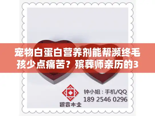 宠物白蛋白营养剂能帮濒终毛孩少点痛苦？殡葬师亲历的3个遗憾故事