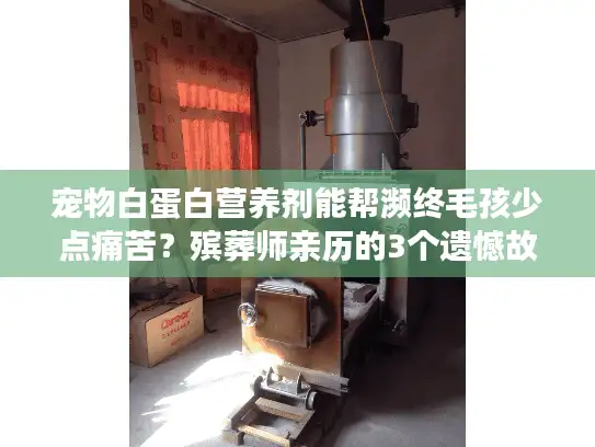 宠物白蛋白营养剂能帮濒终毛孩少点痛苦？殡葬师亲历的3个遗憾故事