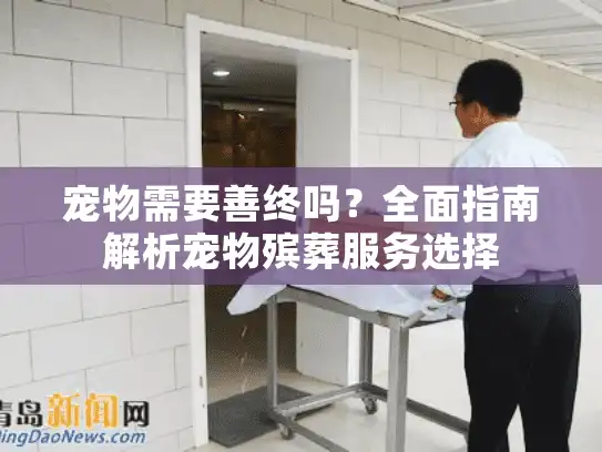 宠物需要善终吗？全面指南解析宠物殡葬服务选择