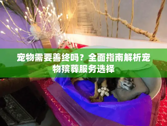 宠物需要善终吗？全面指南解析宠物殡葬服务选择