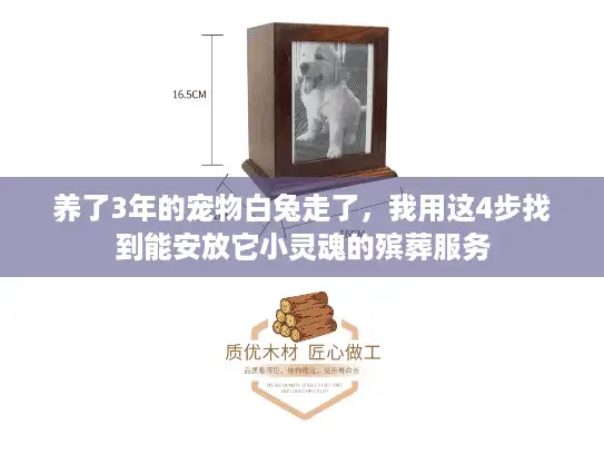 养了3年的宠物白兔走了，我用这4步找到能安放它小灵魂的殡葬服务