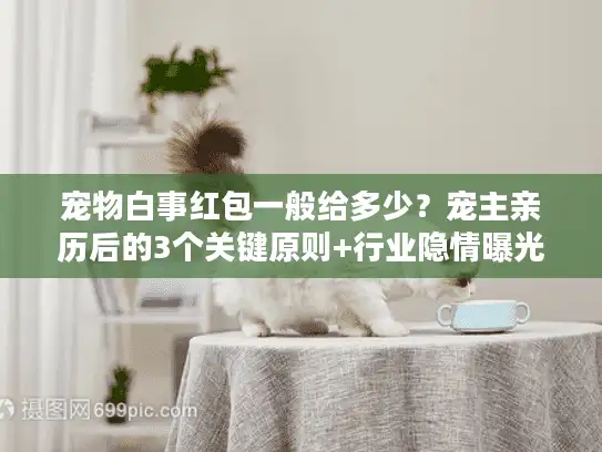 宠物白事红包一般给多少？宠主亲历后的3个关键原则+行业隐情曝光