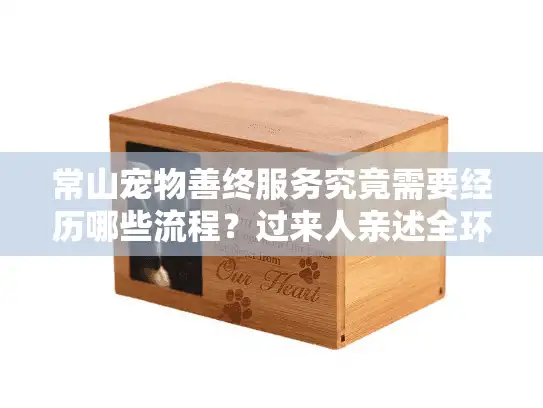 常山宠物善终服务究竟需要经历哪些流程？过来人亲述全环节避坑指南