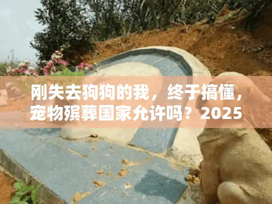 刚失去狗狗的我，终于搞懂，宠物殡葬国家允许吗？2025年合法服务怎么找