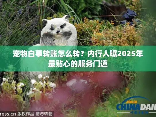 宠物白事转账怎么转？内行人曝2025年最贴心的服务门道