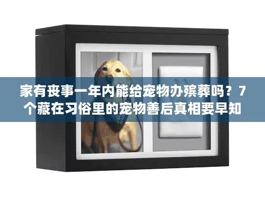 家有丧事一年内能给宠物办殡葬吗？7个藏在习俗里的宠物善后真相要早知道