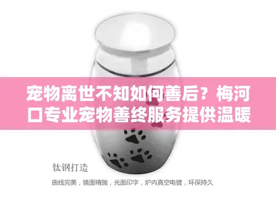宠物离世不知如何善后？梅河口专业宠物善终服务提供温暖解决方案
