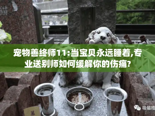 宠物善终师11:当宝贝永远睡着,专业送别师如何缓解你的伤痛?