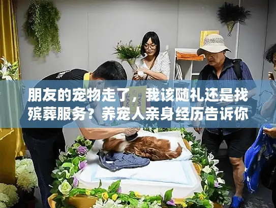 朋友的宠物走了，我该随礼还是找殡葬服务？养宠人亲身经历告诉你答案