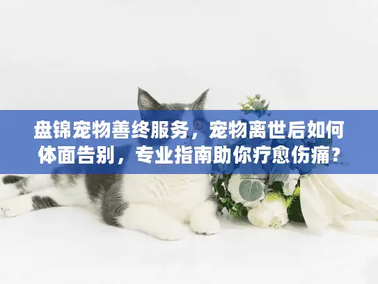 盘锦宠物善终服务，宠物离世后如何体面告别，专业指南助你疗愈伤痛？