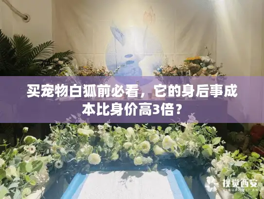 买宠物白狐前必看，它的身后事成本比身价高3倍？