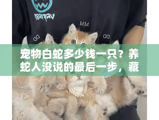 宠物白蛇多少钱一只？养蛇人没说的最后一步，藏着殡葬服务的最痛空白