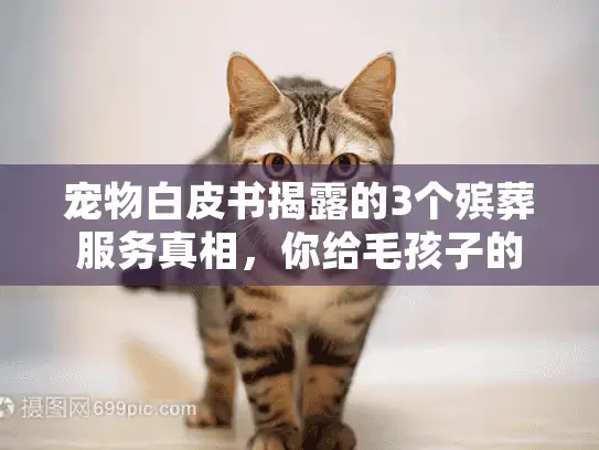 宠物白皮书揭露的3个殡葬服务真相，你给毛孩子的最后一程，可能踩了这些坑？