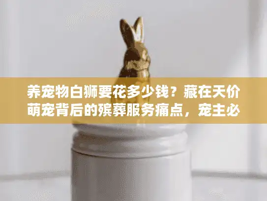 养宠物白狮要花多少钱？藏在天价萌宠背后的殡葬服务痛点，宠主必须早知道