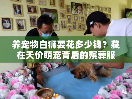 养宠物白狮要花多少钱？藏在天价萌宠背后的殡葬服务痛点，宠主必须早知道