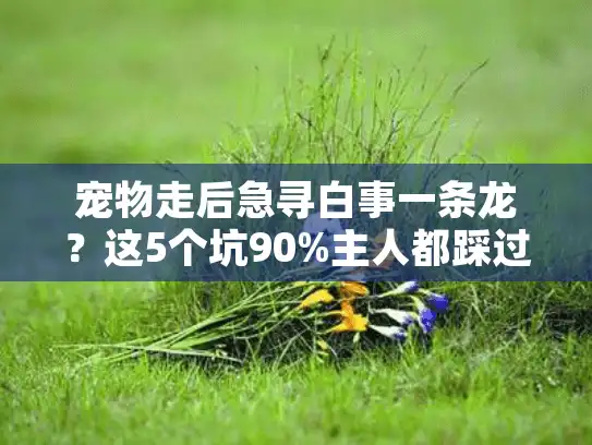 宠物走后急寻白事一条龙？这5个坑90%主人都踩过，看完再选不后悔