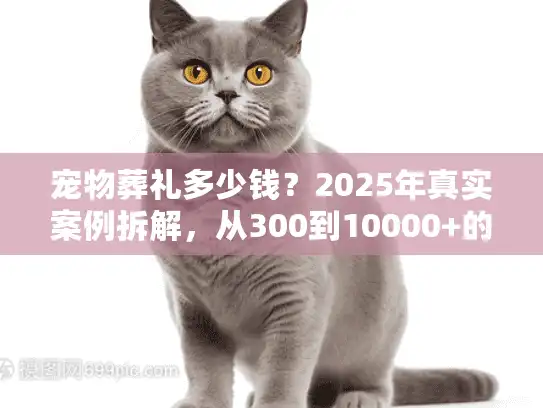 宠物葬礼多少钱？2025年真实案例拆解，从300到10000+的价差藏着这些门道