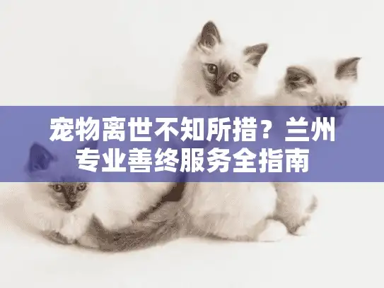 宠物离世不知所措？兰州专业善终服务全指南