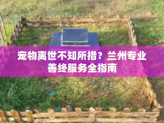 宠物离世不知所措？兰州专业善终服务全指南