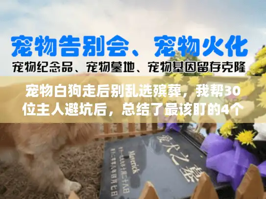 宠物白狗走后别乱选殡葬，我帮30位主人避坑后，总结了最该盯的4个细节