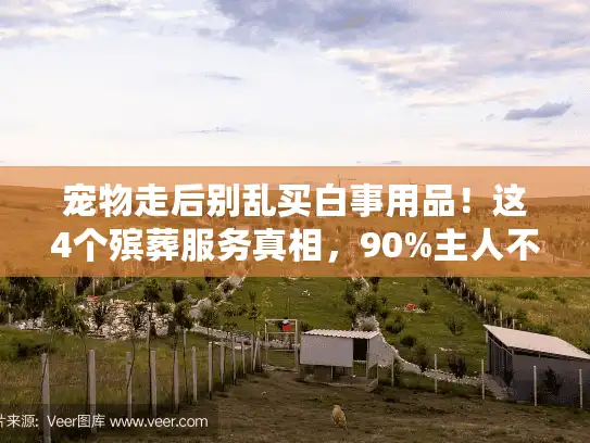 宠物走后别乱买白事用品！这4个殡葬服务真相，90%主人不知道
