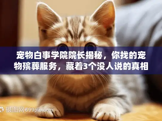 宠物白事学院院长揭秘，你找的宠物殡葬服务，藏着3个没人说的真相？