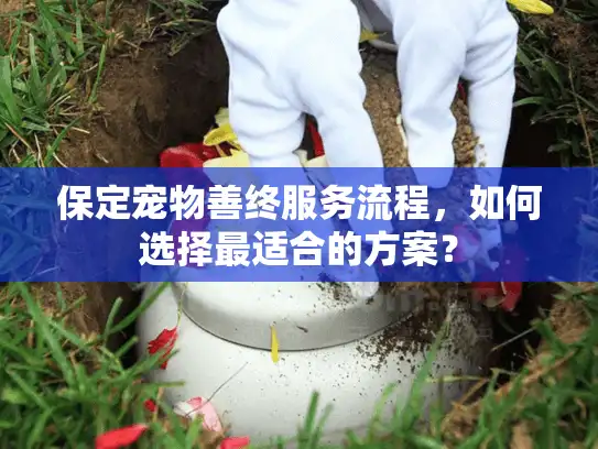 保定宠物善终服务流程，如何选择最适合的方案？