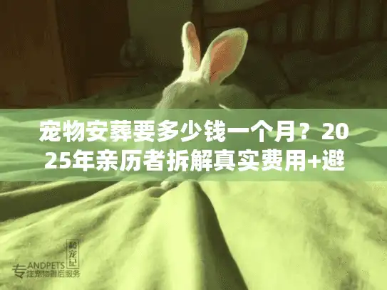 宠物安葬要多少钱一个月？2025年亲历者拆解真实费用+避坑技巧