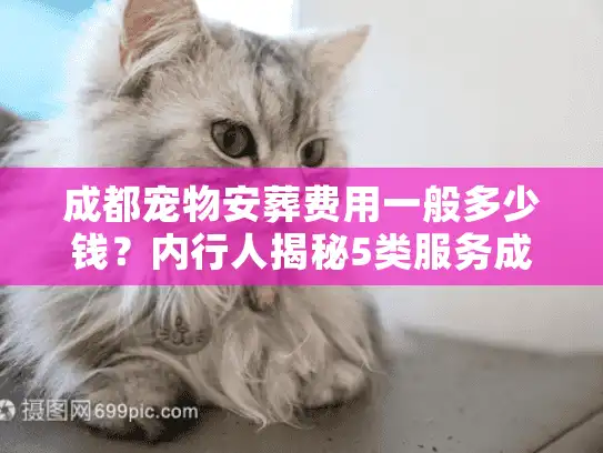 成都宠物安葬费用一般多少钱？内行人揭秘5类服务成本与避坑指南