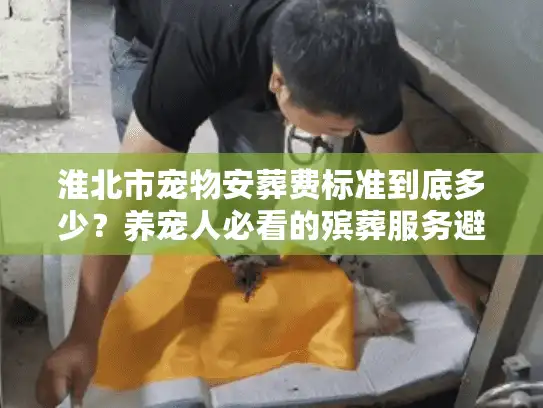 淮北市宠物安葬费标准到底多少？养宠人必看的殡葬服务避坑指南