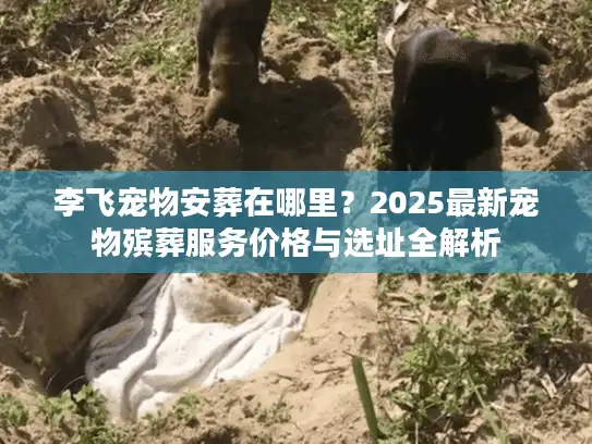 李飞宠物安葬在哪里？2025最新宠物殡葬服务价格与选址全解析