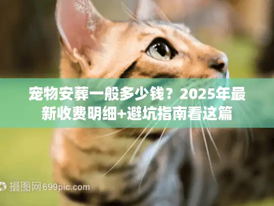宠物安葬一般多少钱？2025年最新收费明细+避坑指南看这篇