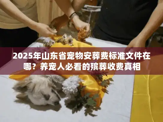2025年山东省宠物安葬费标准文件在哪？养宠人必看的殡葬收费真相