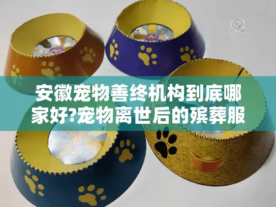 安徽宠物善终机构到底哪家好?宠物离世后的殡葬服务全指南