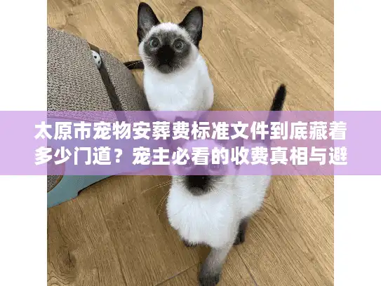 太原市宠物安葬费标准文件到底藏着多少门道？宠主必看的收费真相与避坑指南