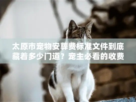 太原市宠物安葬费标准文件到底藏着多少门道？宠主必看的收费真相与避坑指南