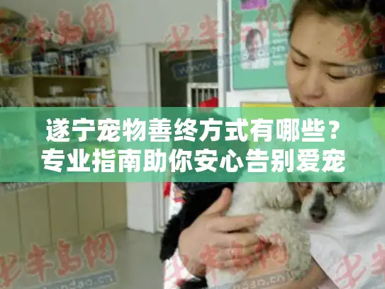 遂宁宠物善终方式有哪些？专业指南助你安心告别爱宠