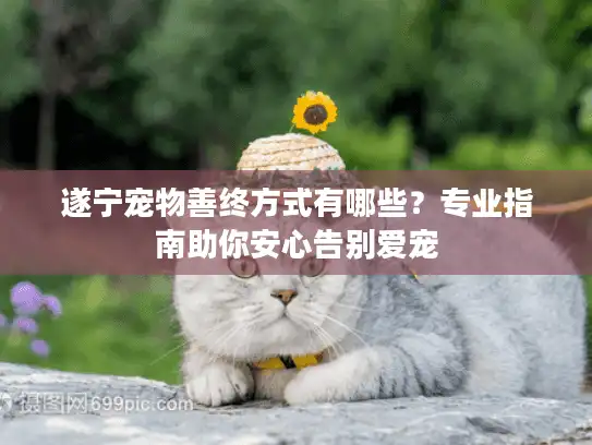 遂宁宠物善终方式有哪些？专业指南助你安心告别爱宠