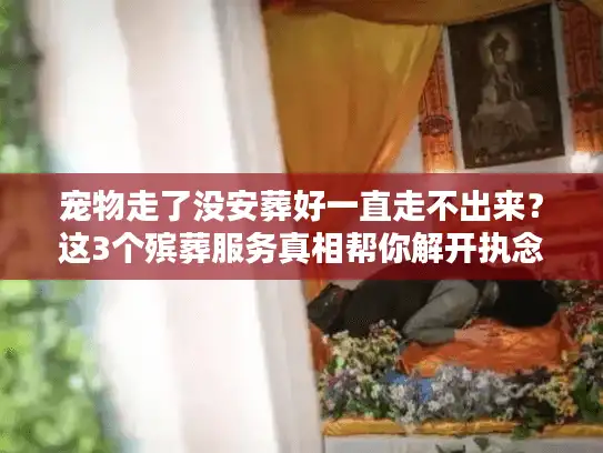 宠物走了没安葬好一直走不出来？这3个殡葬服务真相帮你解开执念