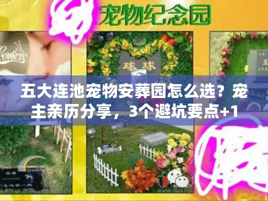 五大连池宠物安葬园怎么选？宠主亲历分享，3个避坑要点+1个良心推荐