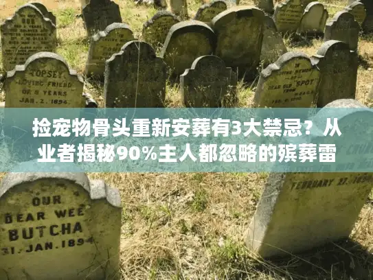 捡宠物骨头重新安葬有3大禁忌？从业者揭秘90%主人都忽略的殡葬雷区