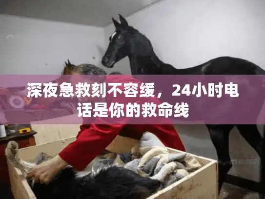 深夜急救刻不容缓，24小时电话是你的救命线