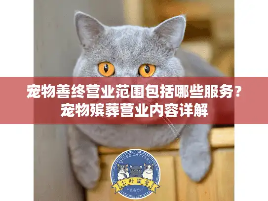 宠物善终营业范围包括哪些服务？宠物殡葬营业内容详解